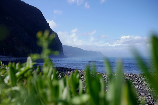 Steilküste, Felsstrand, grün. Das ist Madeira