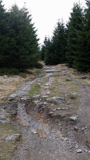 trail