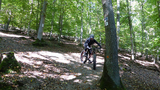 Eher galant (FILEminimizer)