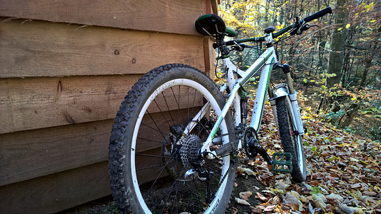 WP 20151101 12 53 11 Pro