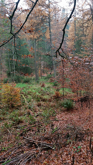 Freeridepace (FILEminimizer)