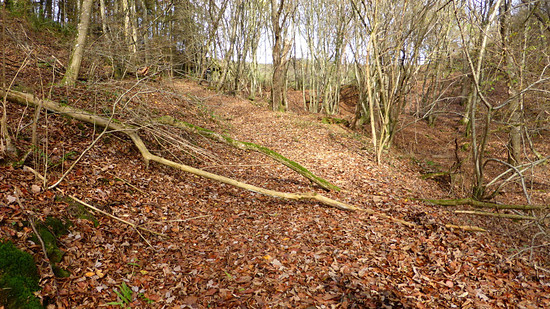 Doch Herbst (FILEminimizer)