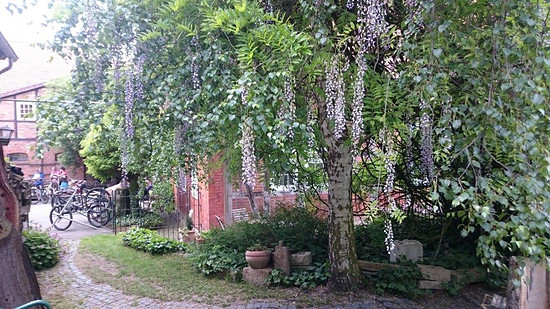 Per E-Mail senden: DSC_0134.jpg