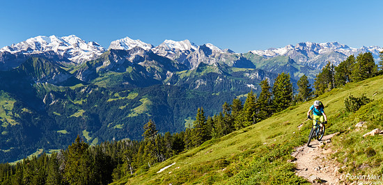 Hochsommer im Berner Oberland
