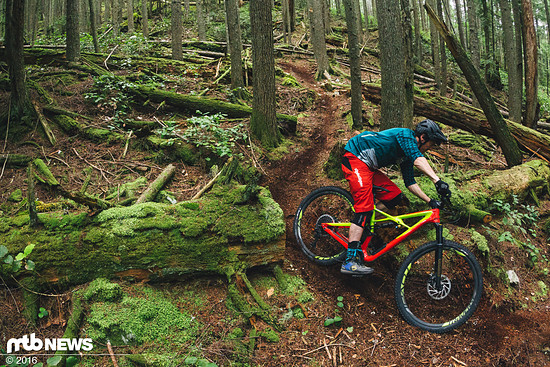 Das Land des braunen Goldes