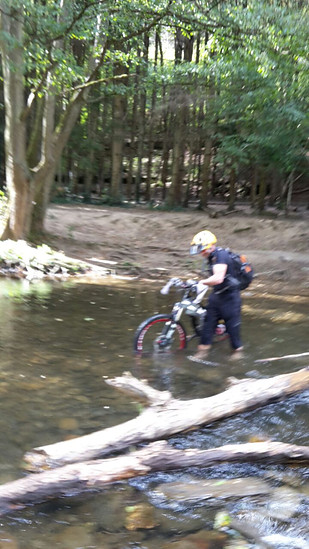 Foto: Römer, geht nach Hause - MTB-News.de