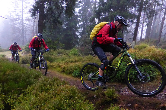 Harzen 08.10.2K16 Feucht und schmutzig