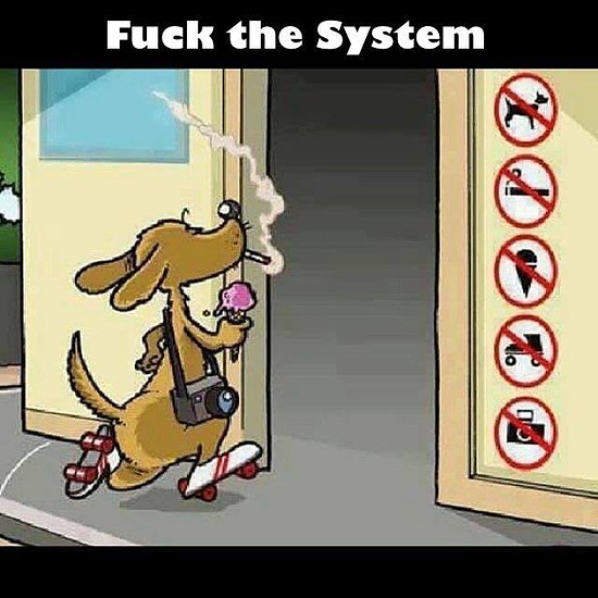 fuck system