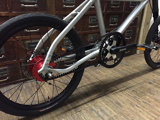 Cannondale Hooligan with Pinion and Rohloff... 252 possible gears...