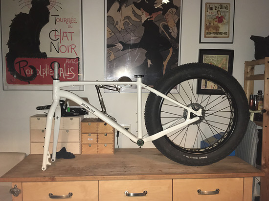 Specialized Fatboy L mit Salsa Bearpaw in grauweiß