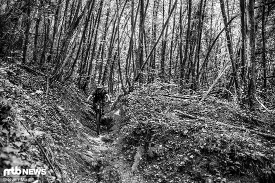 Santa Cruz Nomad-4086