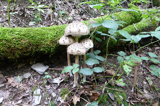 Bitte ein Bit (FILEminimizer)