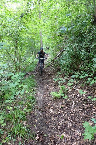 Sauentrack (FILEminimizer)