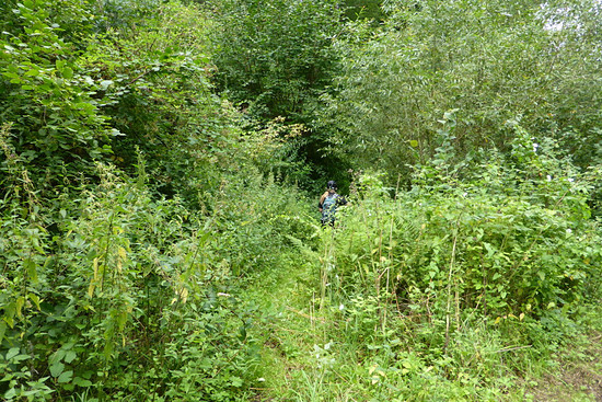 SIE macht's! (FILEminimizer)