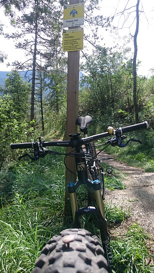 Nagelpilz im Vorderrad