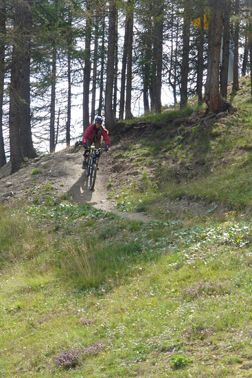 Rollercoaster (FILEminimizer)