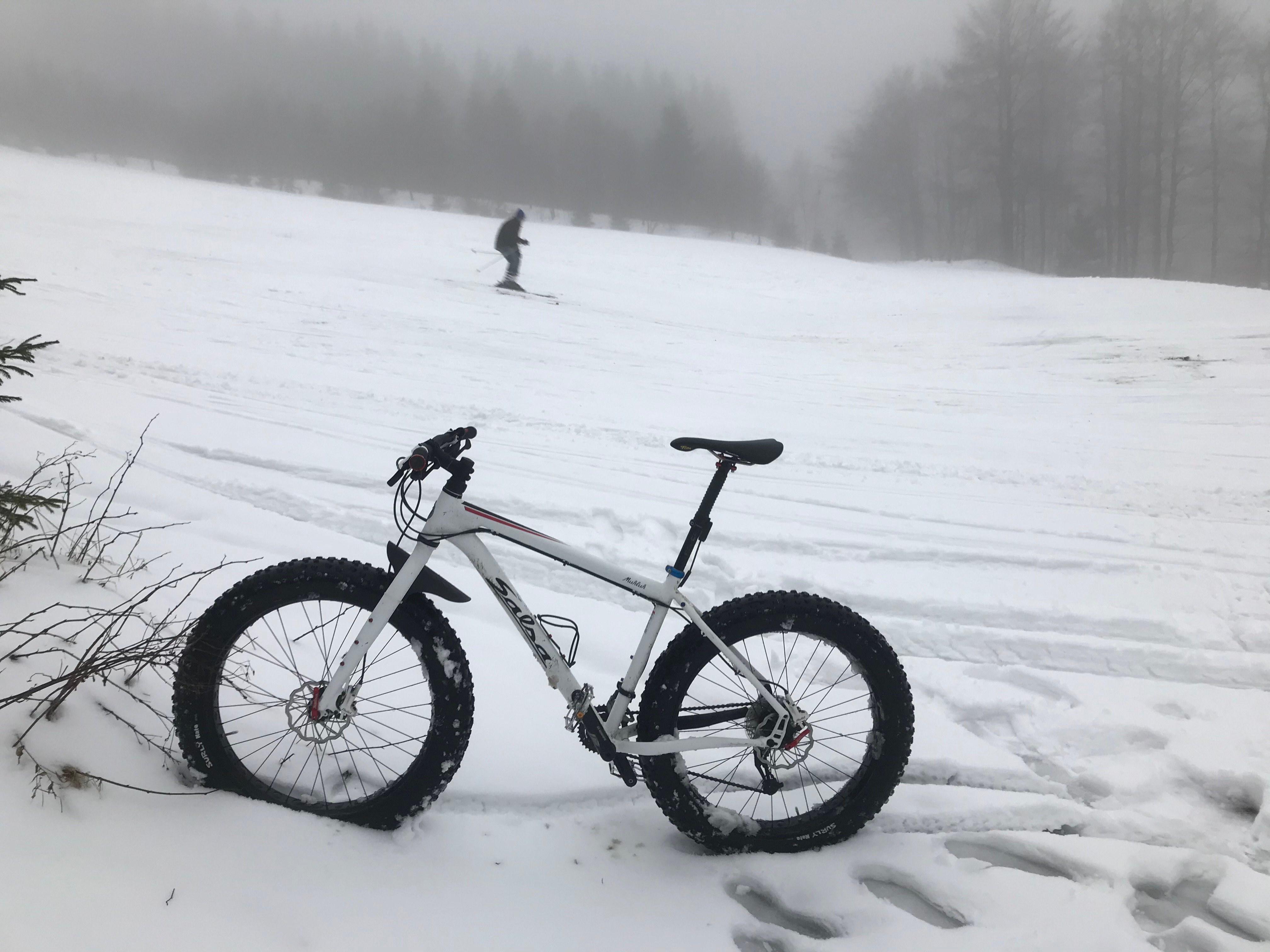 salsa mukluk fatbike