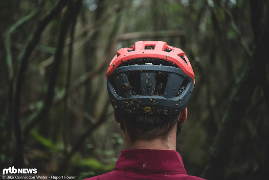 Im Nackenbereich ist der Smith Session tief nach unten gezogen