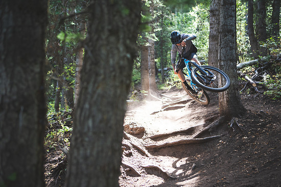 TrustPerformanceMessage0138