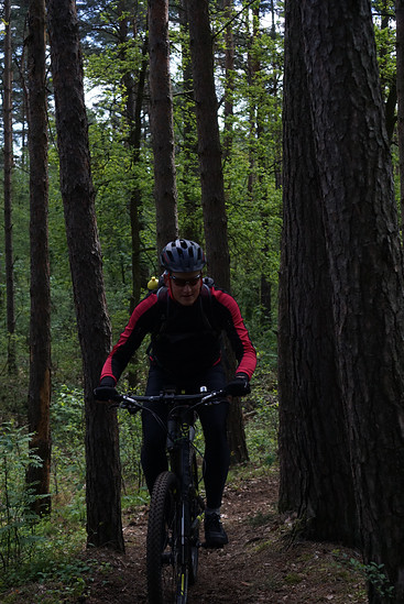 einbeinig an der Vorderachse