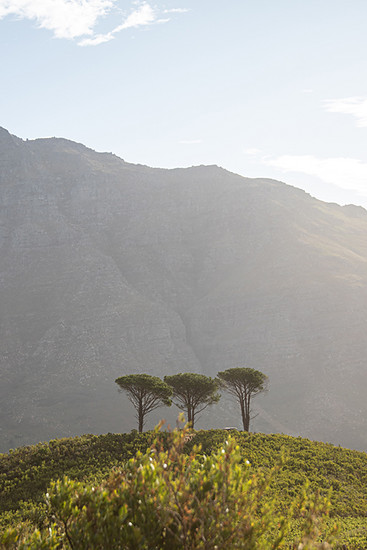 scott-sports-actionimage-a-dogs-life-episode-3-south-africa-brendan-fairclough-photo-by-jacob-gibbins-DG SA D1 P2-8032013-web-story
