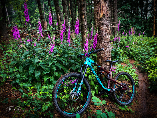 most colorful days on the trails🌸🌺🌷
