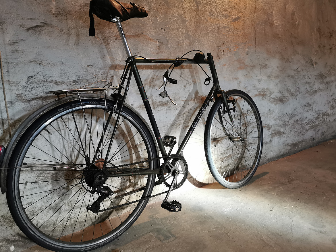 the project fixed gear