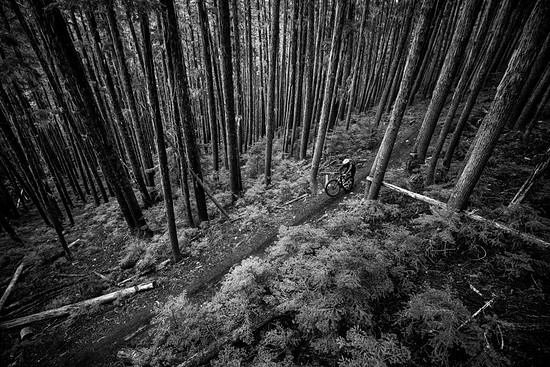 SCOTT PLACE- OF SOLACE TANNER STEPHENS SPARK 2022 Photo by Drew Boxold HiRes 20