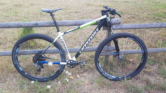 Cannondale F29, 7,9 kg (o. Pedale)