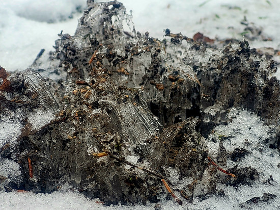 Winterpokal-Aktivität
