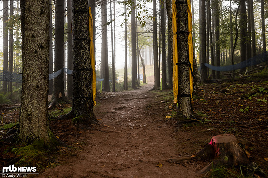 MTBNews