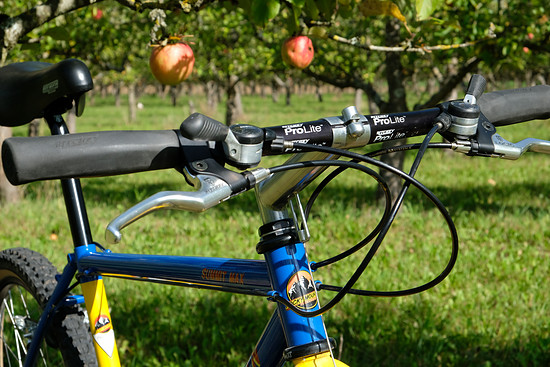 Rocky Mountain - Summit Max