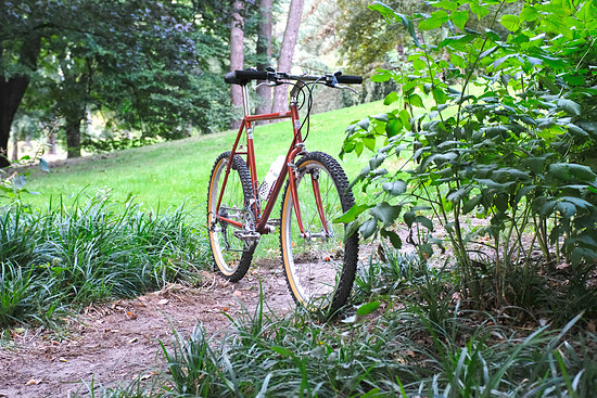 1995-Ritchey-Everest-WCS-Edition-Wahl-