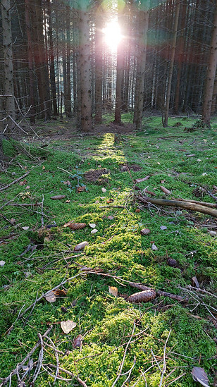 Spukecke 👻🎃👻