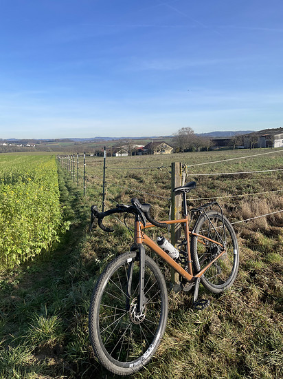 Winterpokal-Aktivität