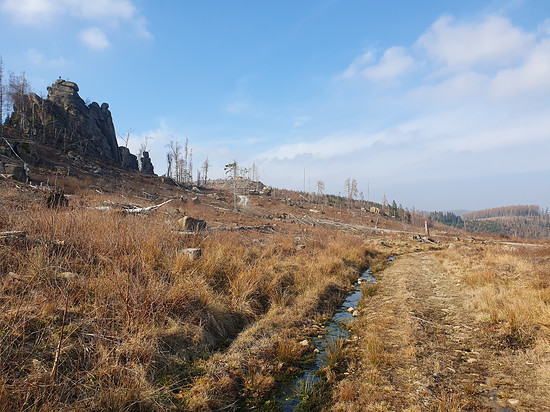 Winterpokal-Aktivität