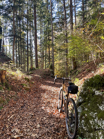 Winterpokal-Aktivität