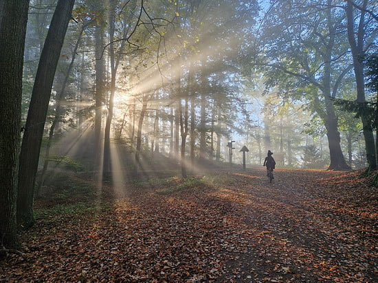 Strahlender Herbstmorgen in Freiburg