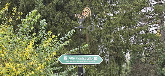 Mittagsrunde 🥾🍂🌫