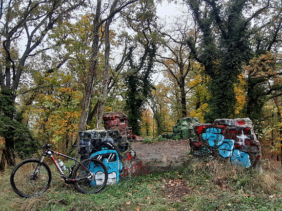 Winterpokal-Aktivität