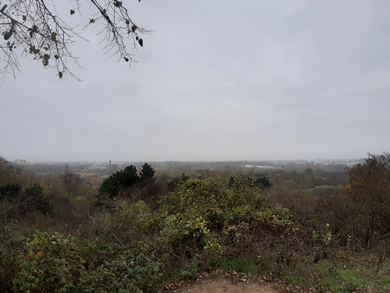 Winterpokal-Aktivität