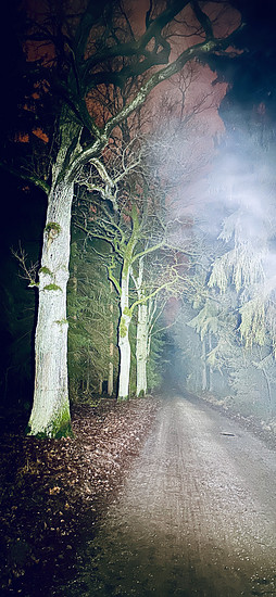 Winterpokal-Aktivität