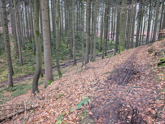 Winterpokal-Aktivität