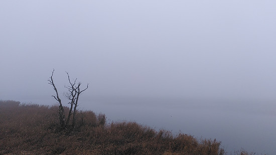 Winterpokal-Aktivität