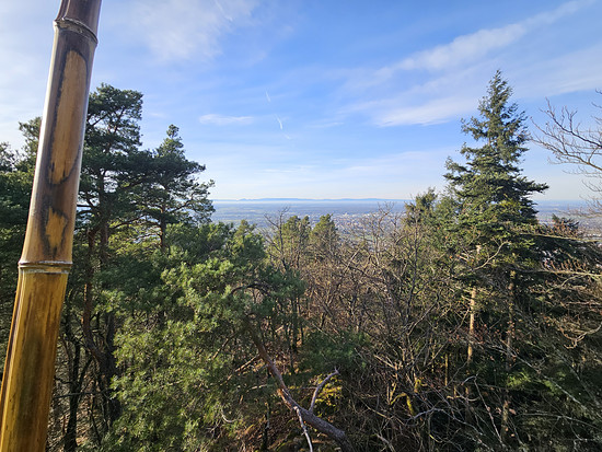 Winterpokal-Aktivität
