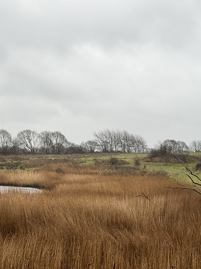Spaziergang am Nachmittag