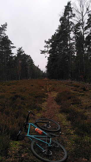 Winterpokal-Aktivität