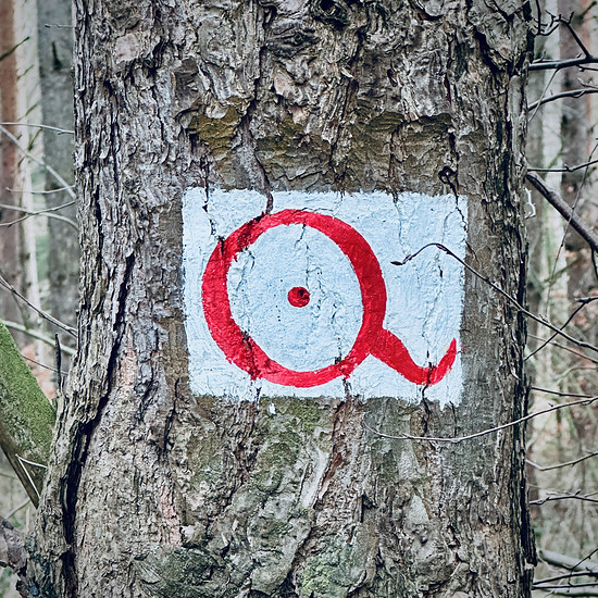 Winterpokal-Aktivität