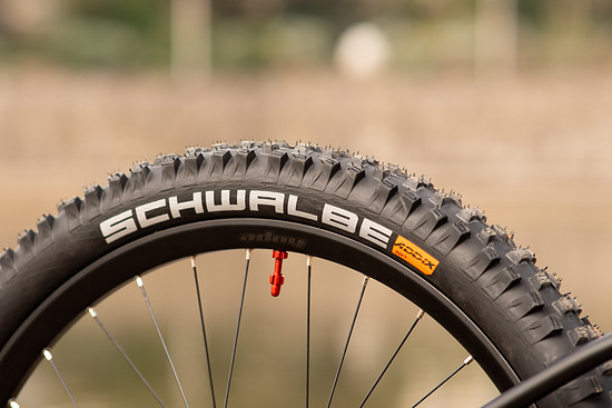 Starling Cycles Dive Web -174