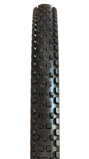 Disector (4) Camera 2